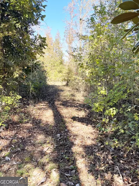 0 S Highway 36, Jackson, GA 30233 photo 3