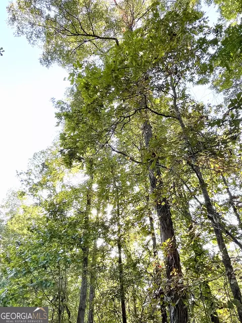 0 S Highway 36, Jackson, GA 30233 photo 5