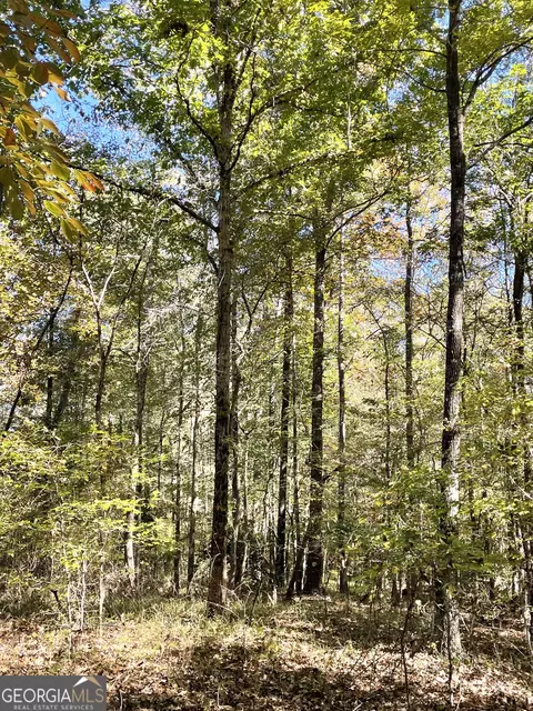 0 S Highway 36, Jackson, GA 30233 photo 6