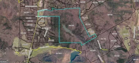 0 Oak Forest Dr, Clarkesville, GA 30523 photo 12