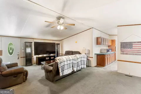 Living - 294 Birch Rd, Franklin, GA 30217 photo 1 of 1