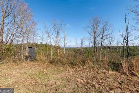 Other - 946 Hightower Loop Rd NE, Ranger, GA 30734 photo 5 of 5