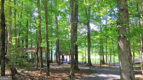0 S Maple Dr, Jasper, GA 30143 photo 8