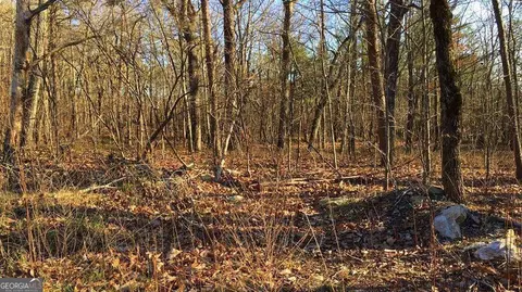 0 S Maple Dr, Jasper, GA 30143 photo 20