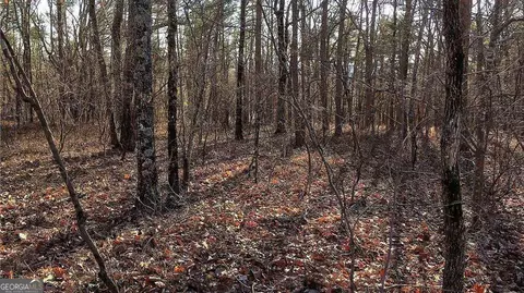 0 S Maple Dr, Jasper, GA 30143 photo 22