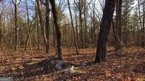 0 S Maple Dr, Jasper, GA 30143 photo 21