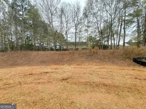 Other - 268 Silverleaf Trl, Bethlehem, GA 30620 photo 4 of 20