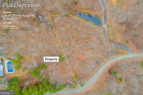 0 Trestle Ridge Rd, Toccoa, GA 30577 photo 2
