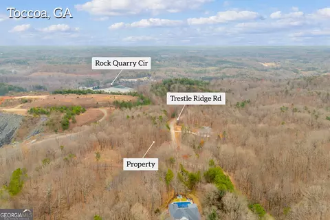 0 Trestle Ridge Rd, Toccoa, GA 30577 photo 8