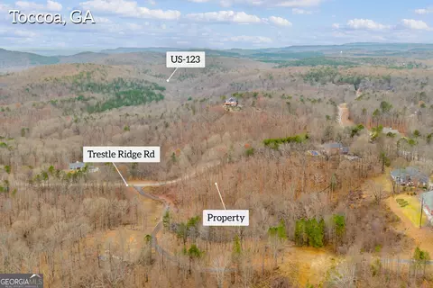 0 Trestle Ridge Rd, Toccoa, GA 30577 photo 6