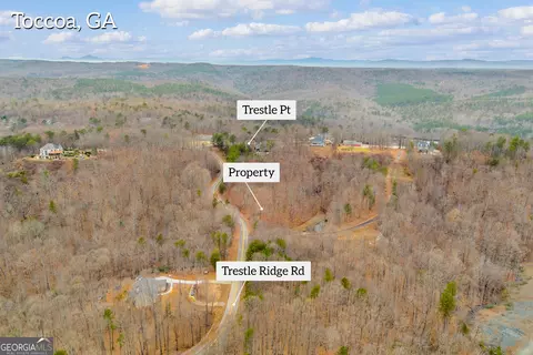 0 Trestle Ridge Rd, Toccoa, GA 30577 photo 10