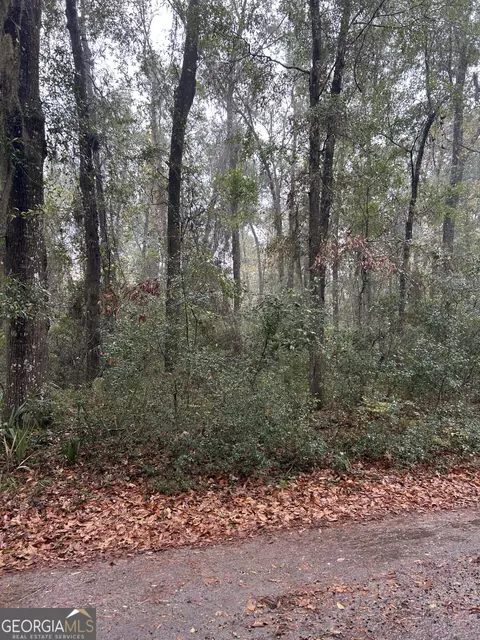 lot15 Harmony Hill Ln, Townsend, GA 31331