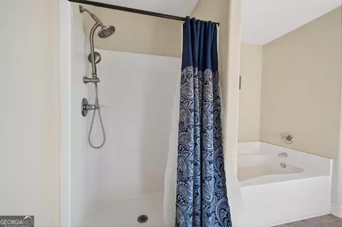 Bath - 336 Dixie Ct, Mount Airy, GA 30563 photo 3 of 4