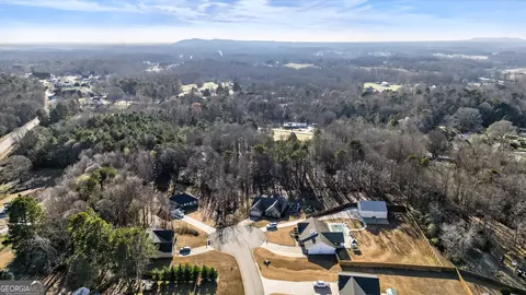 View/Area - 336 Dixie Ct, Mount Airy, GA 30563 photo 7 of 7