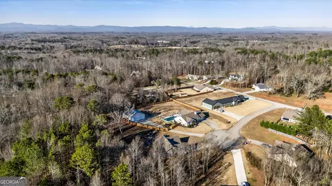 View/Area - 336 Dixie Ct, Mount Airy, GA 30563 photo 3 of 7