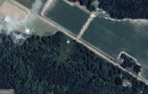 0 Mincey Rd, Brooklet, GA 30415