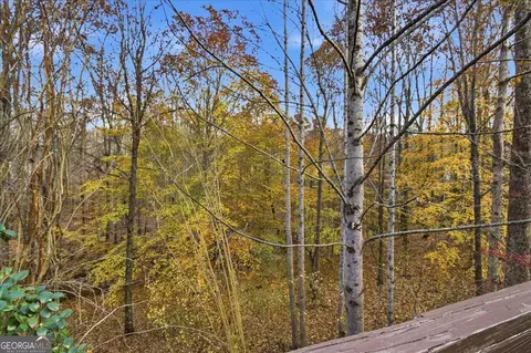 Other - 235 Stillwater Ct, Hampton, GA 30228 photo 13 of 15
