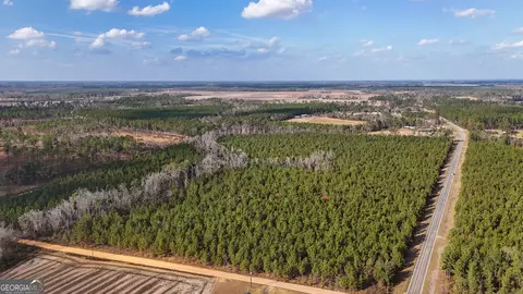 0 Herrington Rd, Baxley, GA 31513