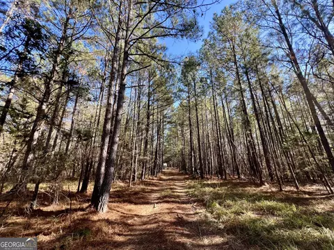 0 St Marys Rd, Crawfordville, GA 30631