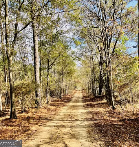 Other - 829 Pope Rd, Roberta, GA 31078 photo 2 of 12