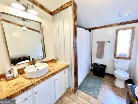 Bath - 829 Pope Rd, Roberta, GA 31078 photo 1 of 5