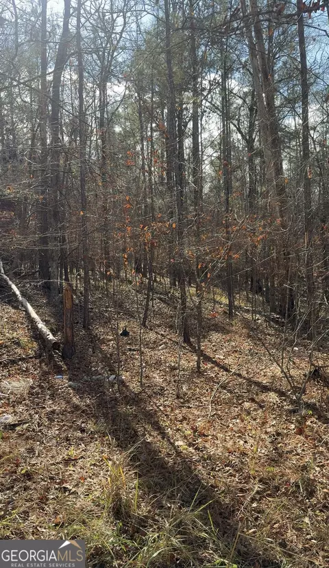 lot182 Bluegill Rd, Eatonton, GA 31024