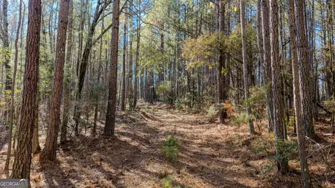 0 Antioch Rd, Lagrange, GA 30240 photo 3