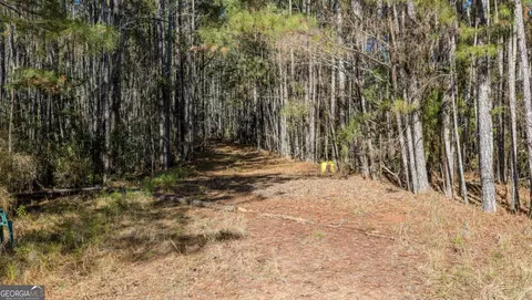 0 Antioch Rd, Lagrange, GA 30240 photo 6