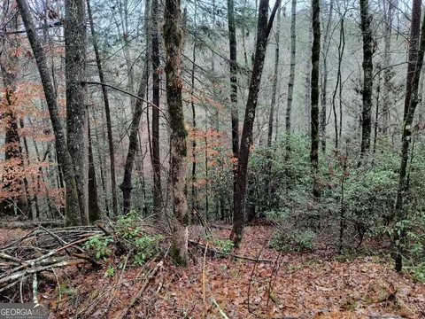 lot39 Kells Ridge Dr #39, East Ellijay, GA 30540