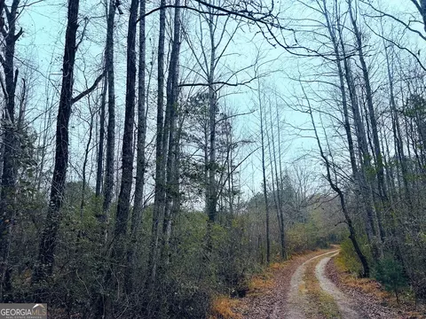 0 Hopeful Rd #LOT 3, Munfurd, AL 36268