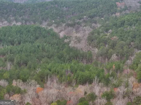 0 Hopefulcheaha Rd #LOT 4, Munfurd, AL 36268