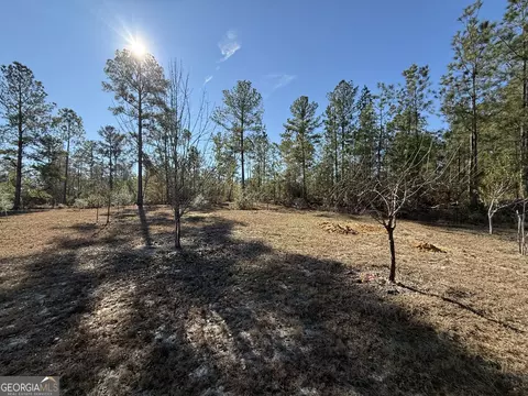 728 Martin Rd, Kite, GA 31049 photo 18