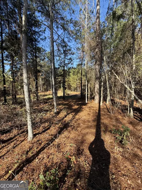 728 Martin Rd, Kite, GA 31049 photo 35