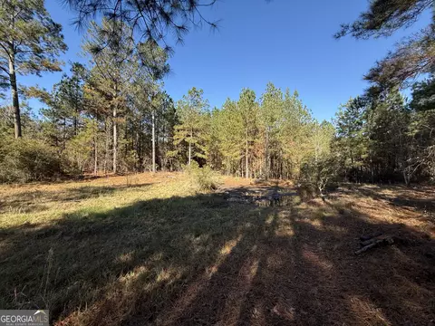 728 Martin Rd, Kite, GA 31049 photo 34