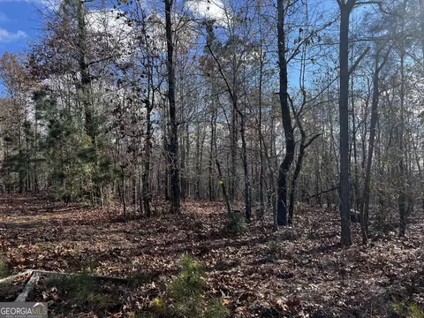 8 9 Lassiter Rd, Forsyth, GA 31029 photo 6