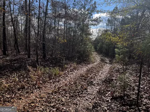 8 9 Lassiter Rd, Forsyth, GA 31029 photo 7