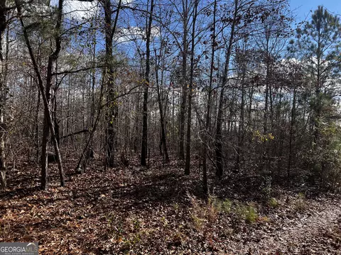 8 9 Lassiter Rd, Forsyth, GA 31029 photo 5