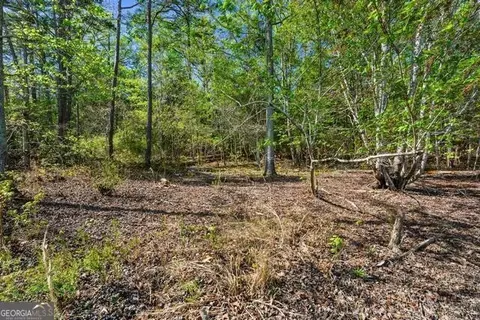 2 Deans Point, Martin, GA 30557 photo 6