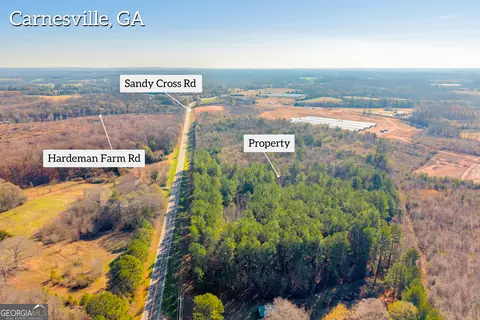 0 Sandy Cross Rd, Carnesville, GA 30521 photo 11
