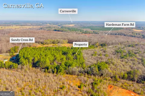 0 Sandy Cross Rd, Carnesville, GA 30521 photo 5