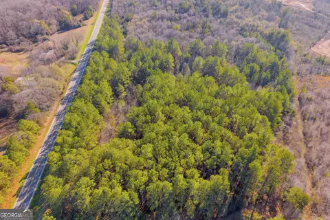 0 Sandy Cross Rd, Carnesville, GA 30521 photo 14