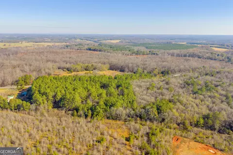 0 Sandy Cross Rd, Carnesville, GA 30521 photo 4