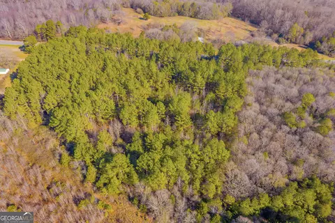 0 Sandy Cross Rd, Carnesville, GA 30521 photo 15