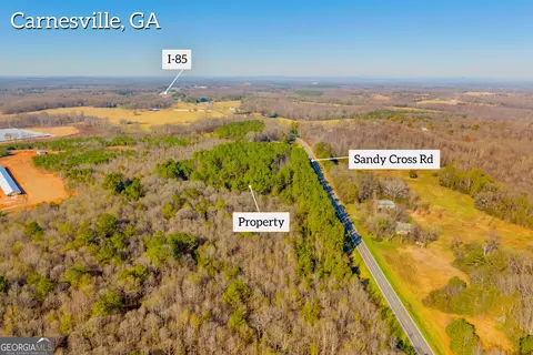0 Sandy Cross Rd, Carnesville, GA 30521 photo 7