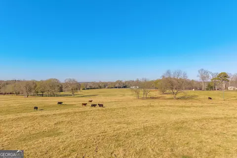 Other - 1191 Plain View Rd, Carnesville, GA 30521 photo 15 of 41