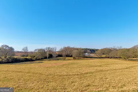 Other - 1191 Plain View Rd, Carnesville, GA 30521 photo 33 of 41