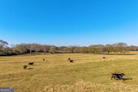 Other - 1191 Plain View Rd, Carnesville, GA 30521 photo 8 of 41