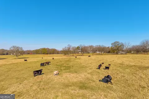 Other - 1191 Plain View Rd, Carnesville, GA 30521 photo 7 of 41