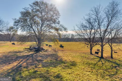 Other - 1191 Plain View Rd, Carnesville, GA 30521 photo 2 of 41