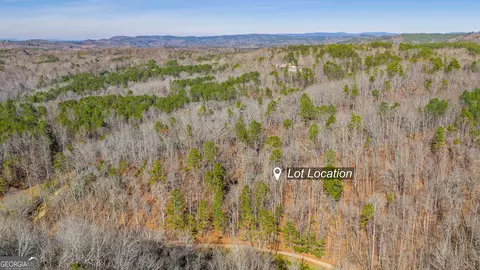 0 Rambling Rd, Fairmount, GA 30139 photo 8